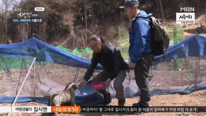 다운로드 (1).gif