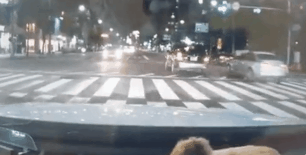 AC_[20260211-125410].gif