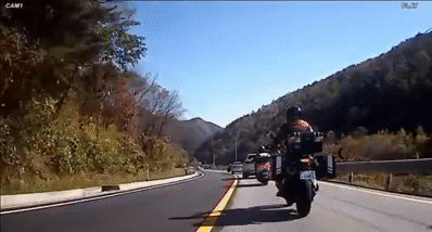 1995118593_5D2ZTgLt_M4V9kYchEewFj1bK.gif