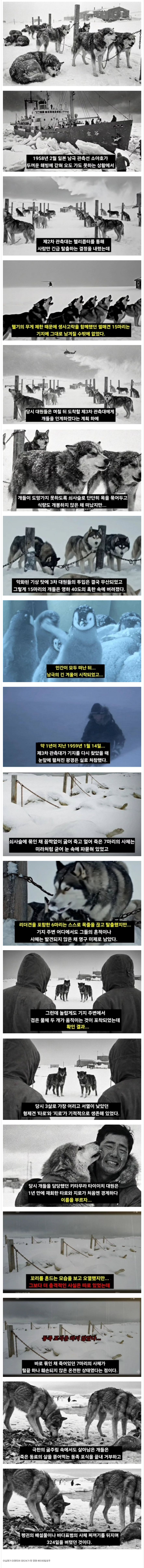 남극에.png