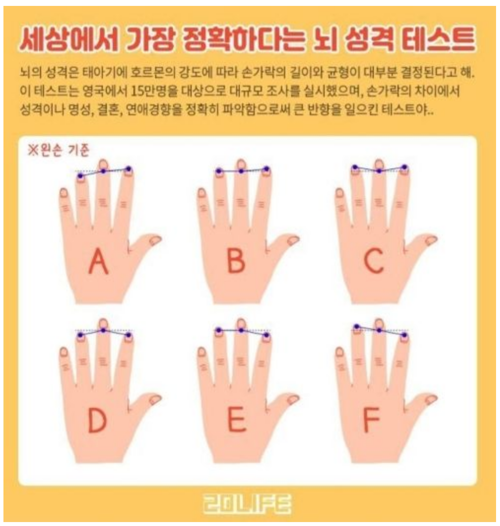 뇌.png