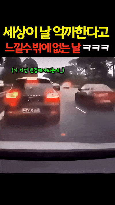 1000036996.gif