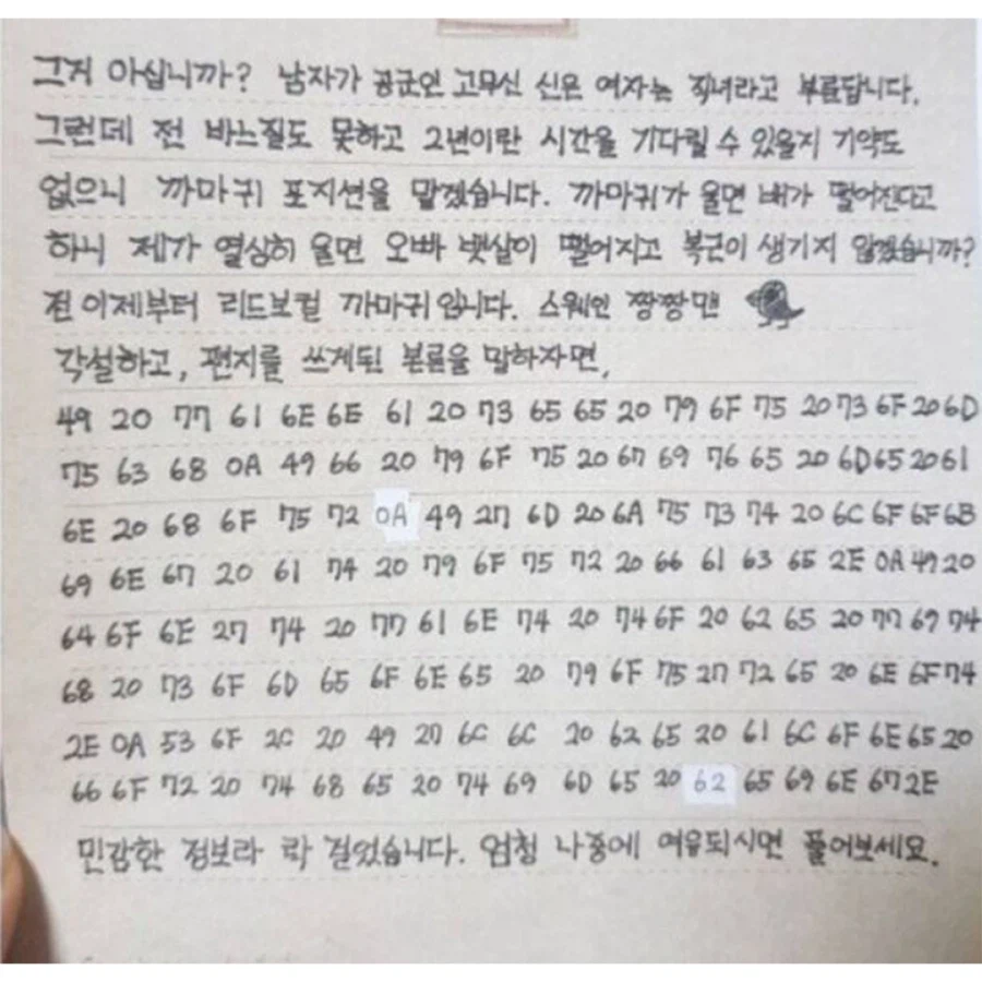 2.webp