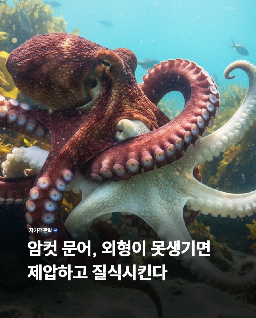 19c5472fb63485185.webp