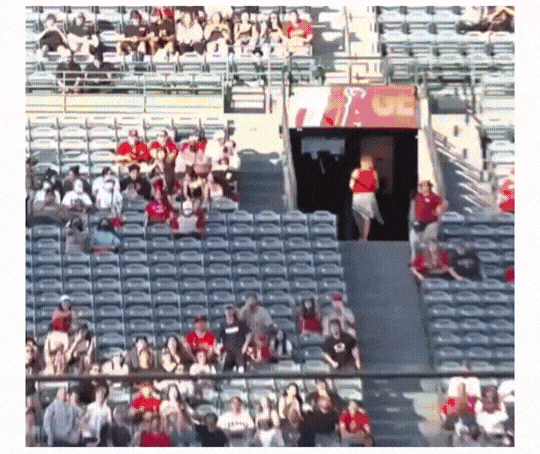 psh11770698556_1690650377.gif