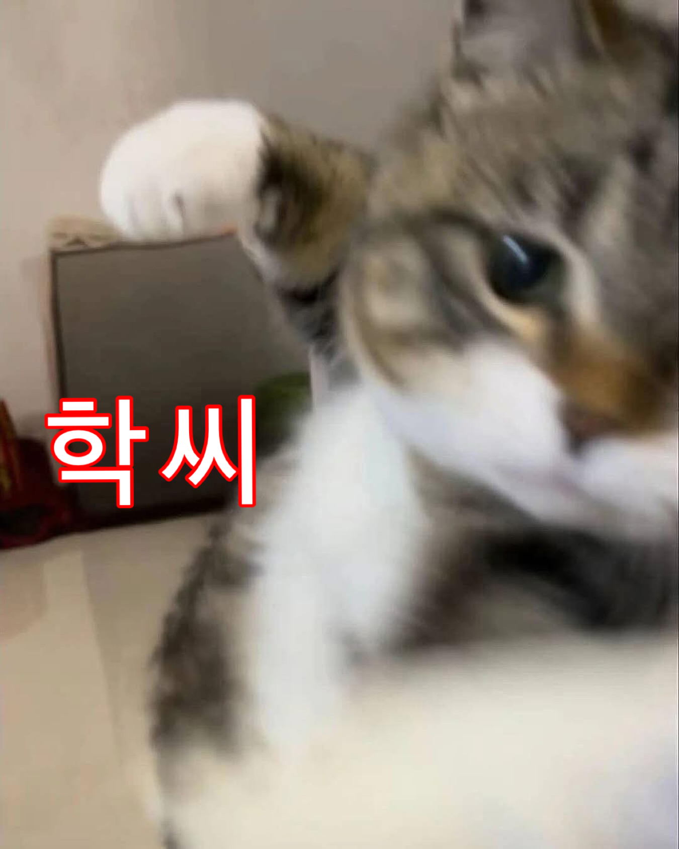 IMG_1109.png