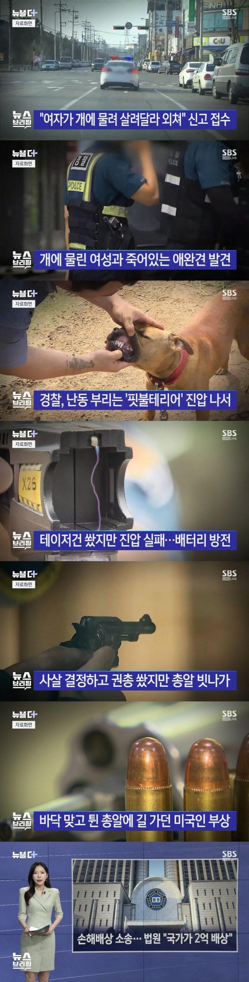 990888088_f5JpcQT9_7C0elyGxuYEUZwF1.jpeg