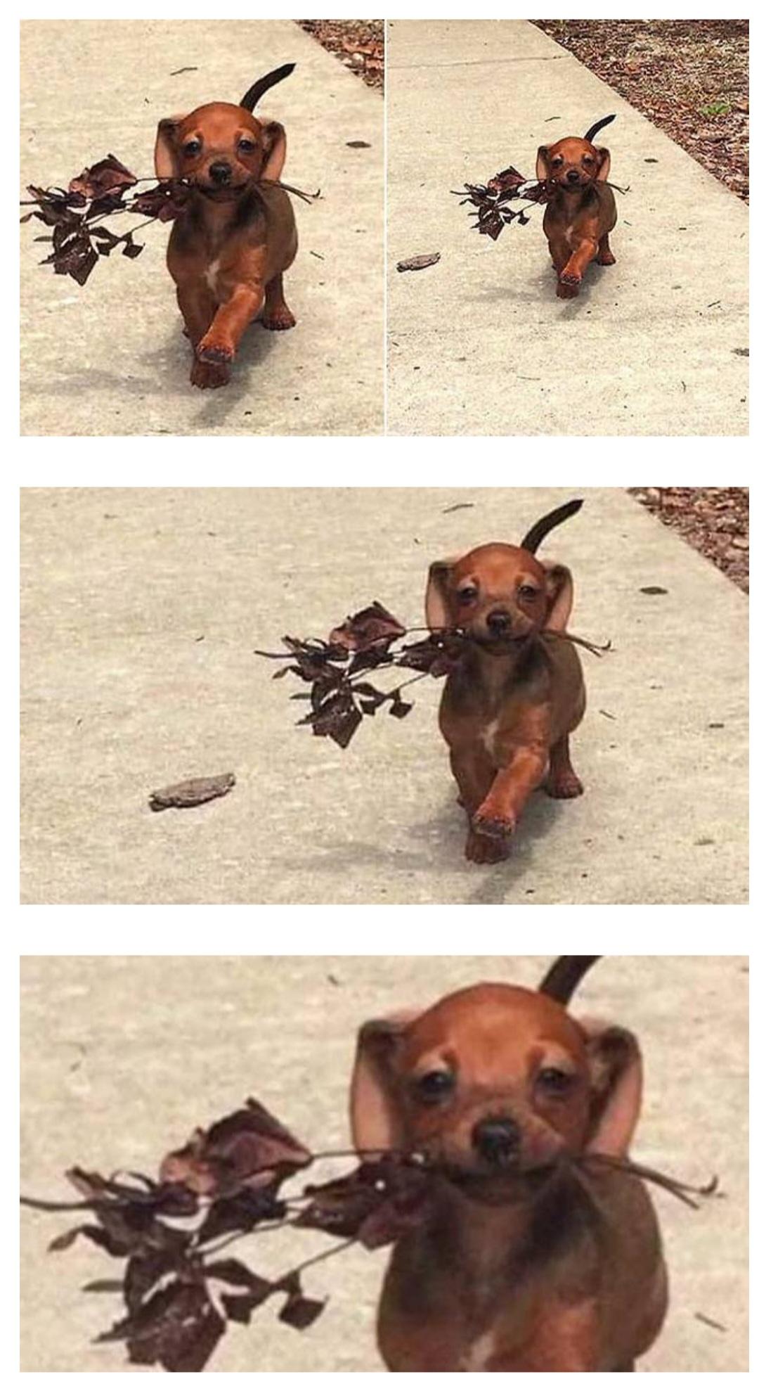 1000084161.jpg