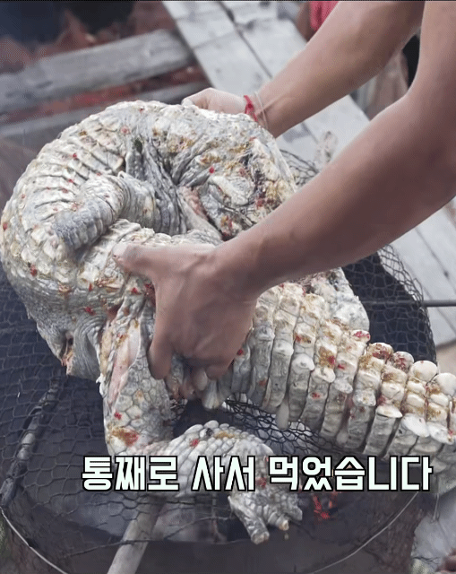 050b5e375569c3efa948b1e28247753e0a9123f3_20260216163052.gif