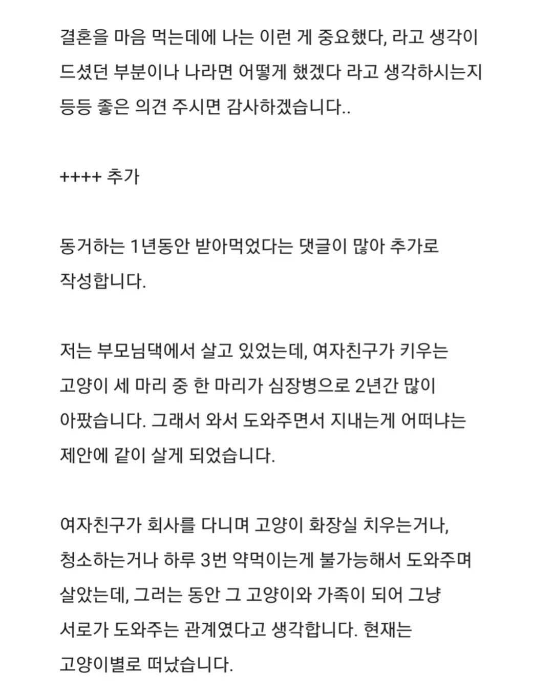 14.webp
