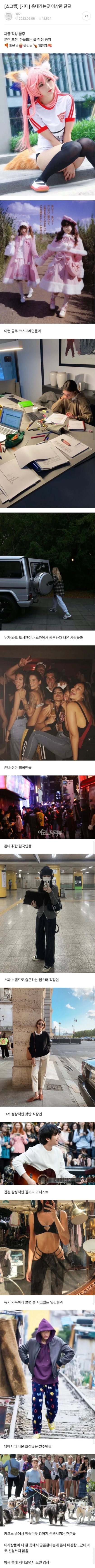 클릭하시면 원본 이미지를 보실 수 있습니다.