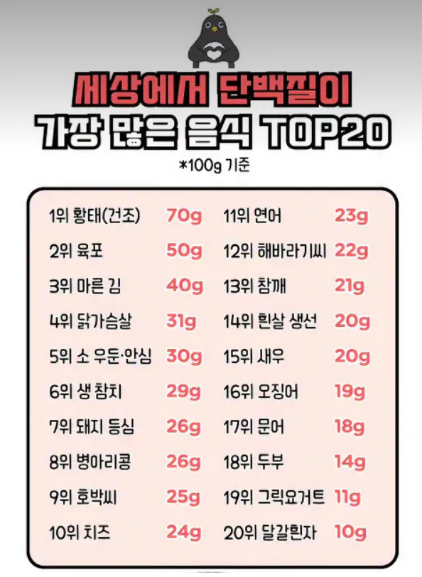단백질.png