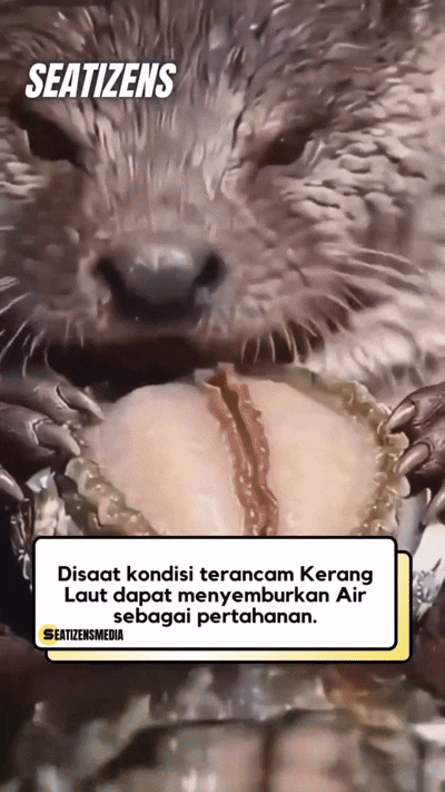 1000066498.gif