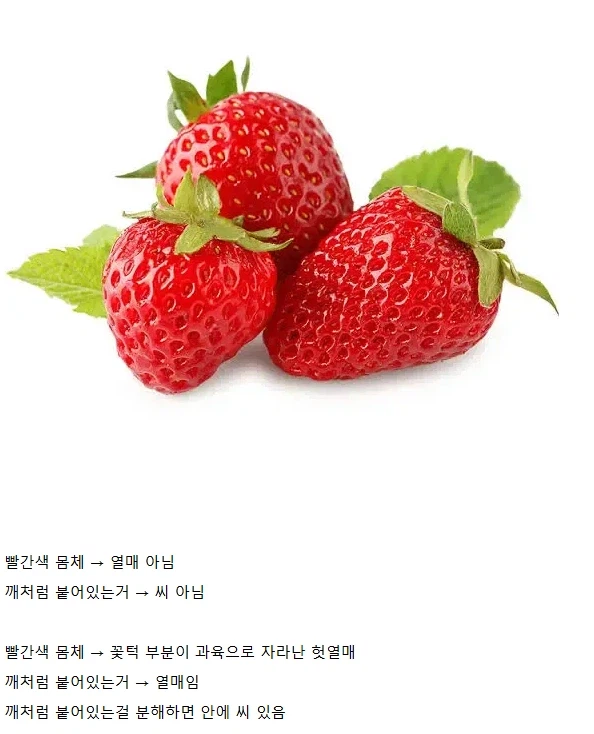 1000090956.webp