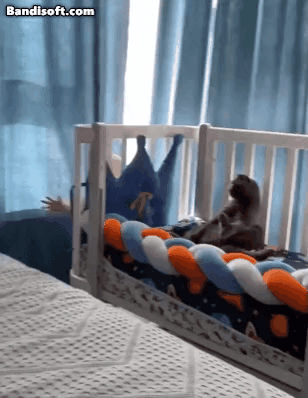GIF_20260220_124642_544.gif