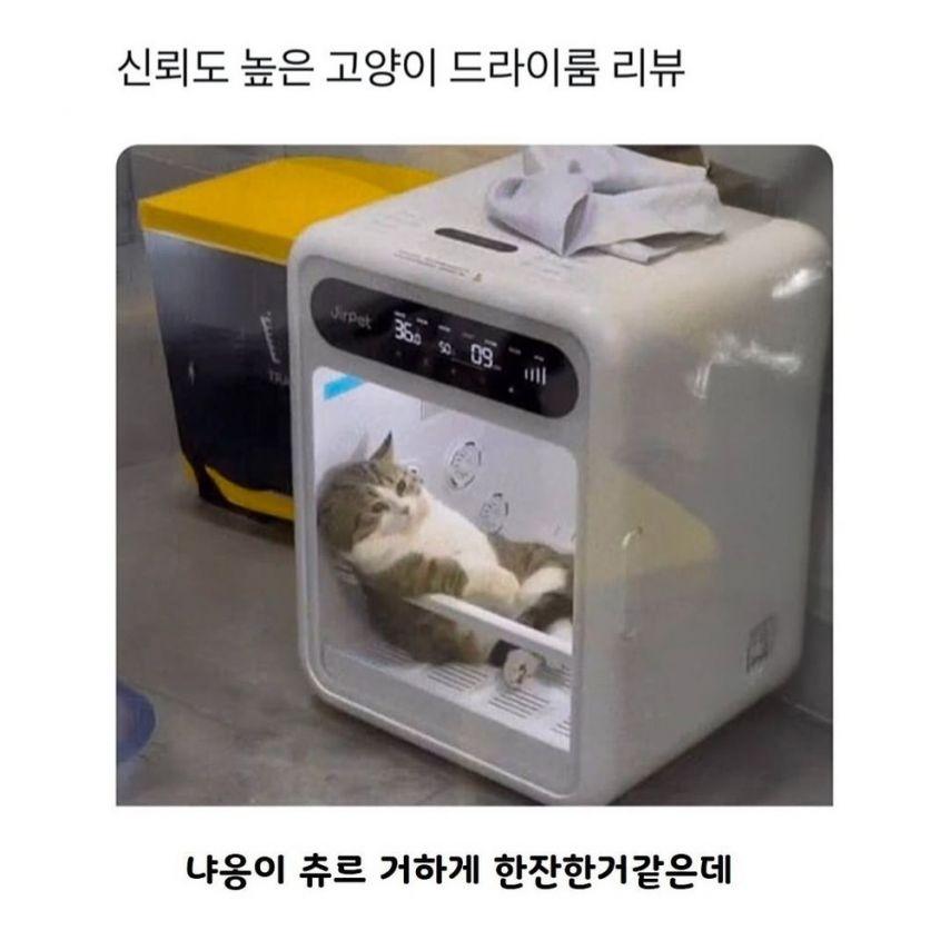 Ww8rRgATQFpKFQBGEwkURV0WRAlEEQgQEl5LTwBCEl4QRwk.jpg