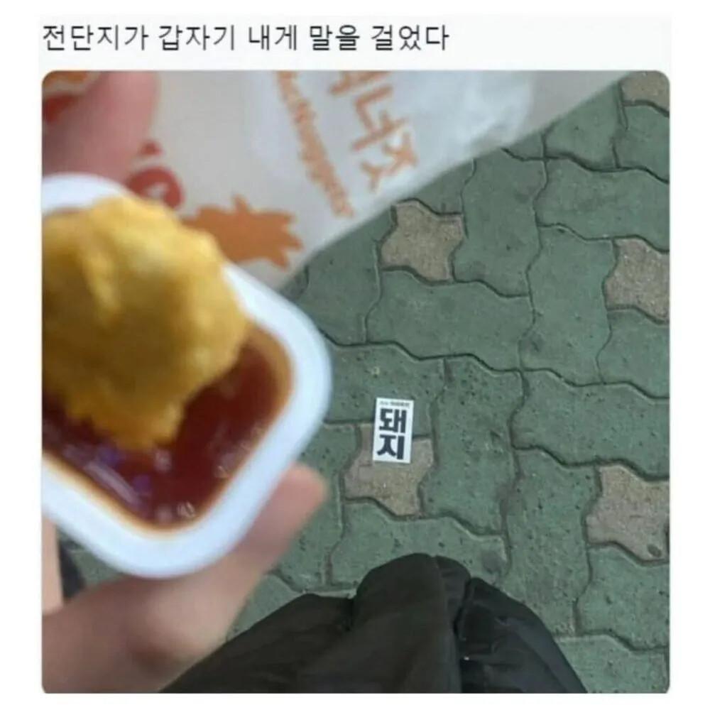 1000090963.jpg
