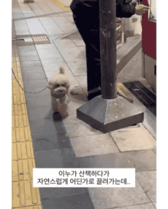 GIF_20260220_153634_838.gif