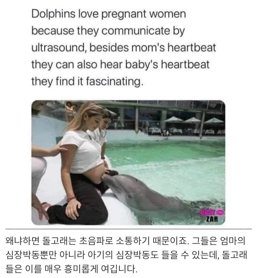 1000084768.jpg