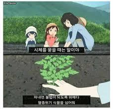 1000091241.jpg