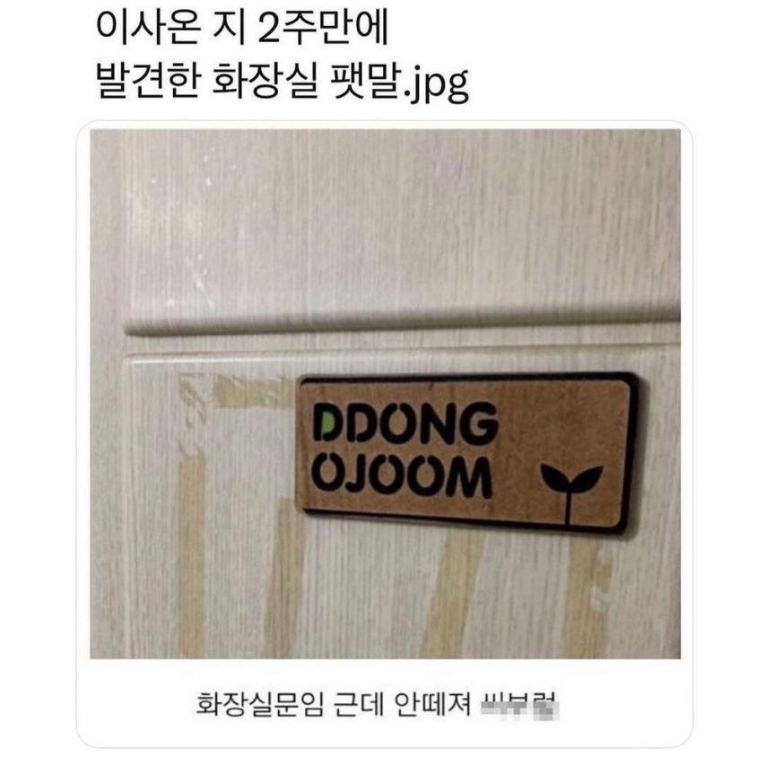 1000091244.jpg