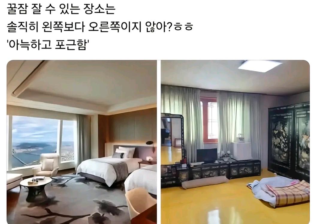 꿀잠.jpg