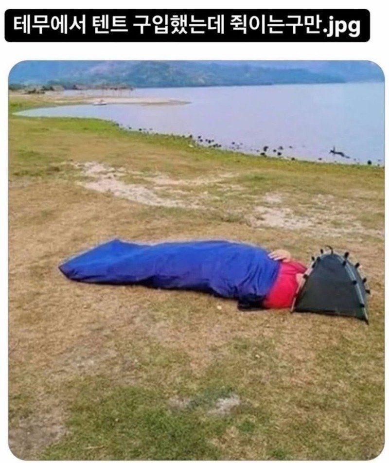 1771544642_575059770.jpg