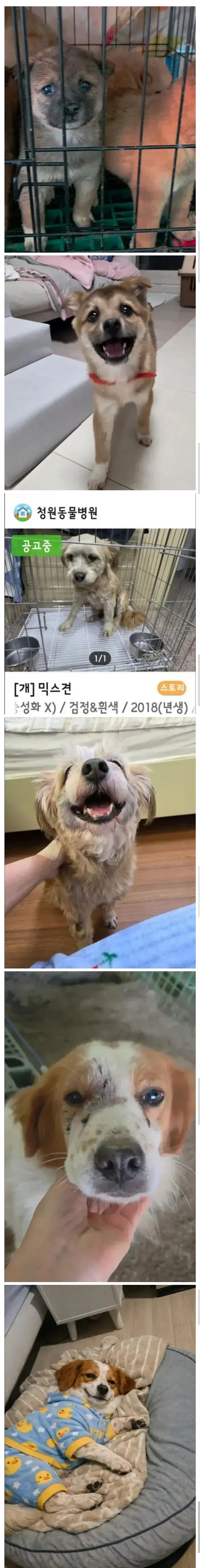 미확인 568116.gif