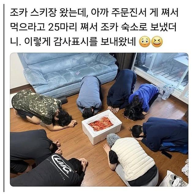 62.jpg