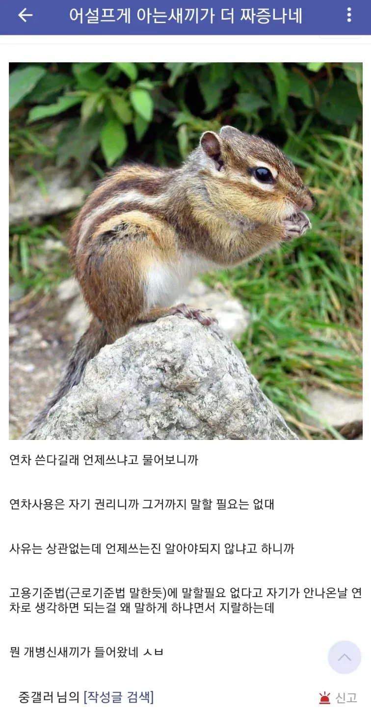 1000017609.webp