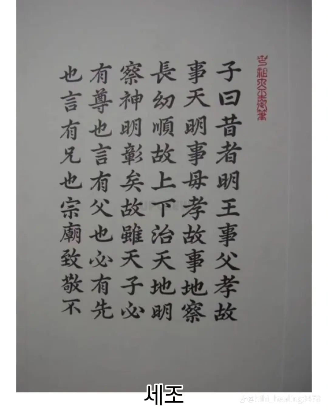 1000017617.webp
