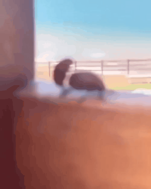 GIF_20260224_204242_135.gif