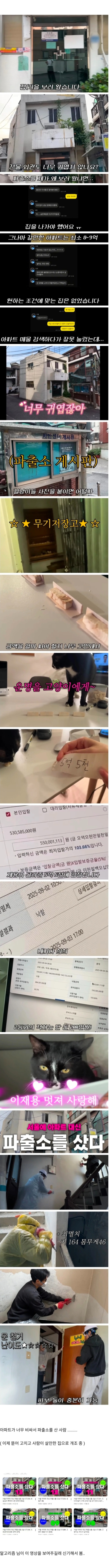 클릭하시면 원본 이미지를 보실 수 있습니다.
