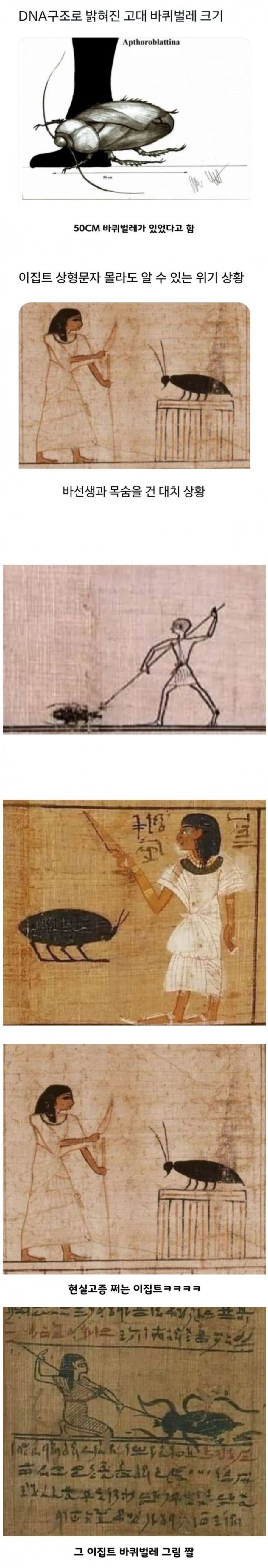 20.png