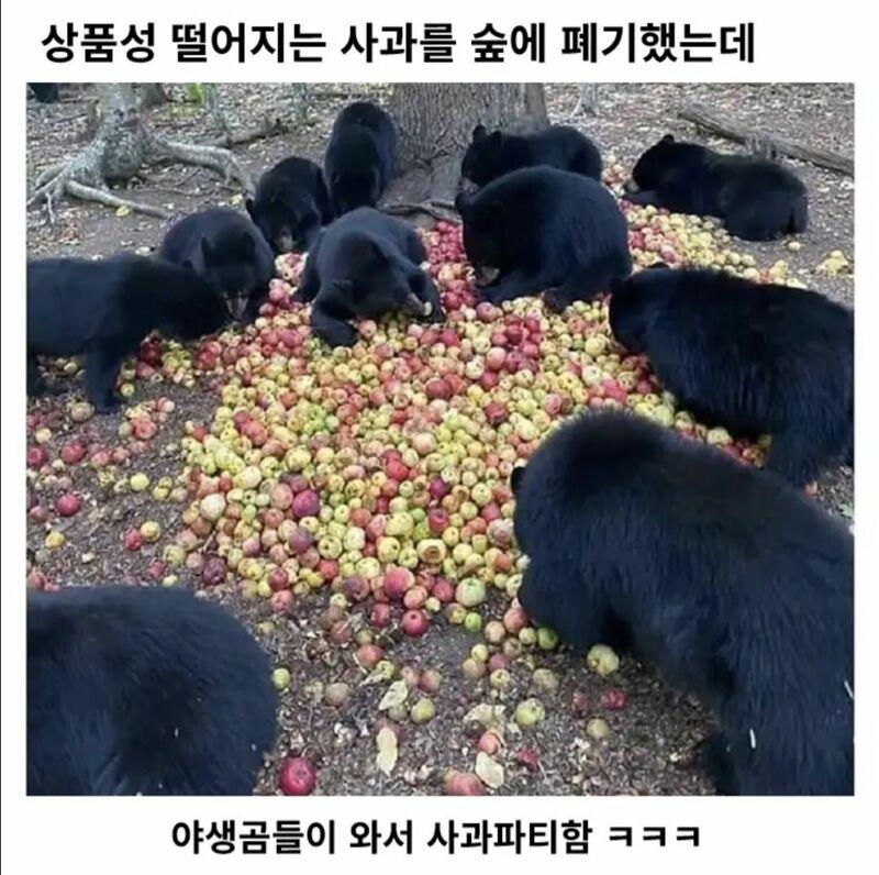 22.jpg