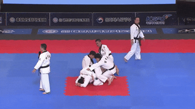 합기도 8.gif