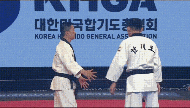 합기도 2인수.gif