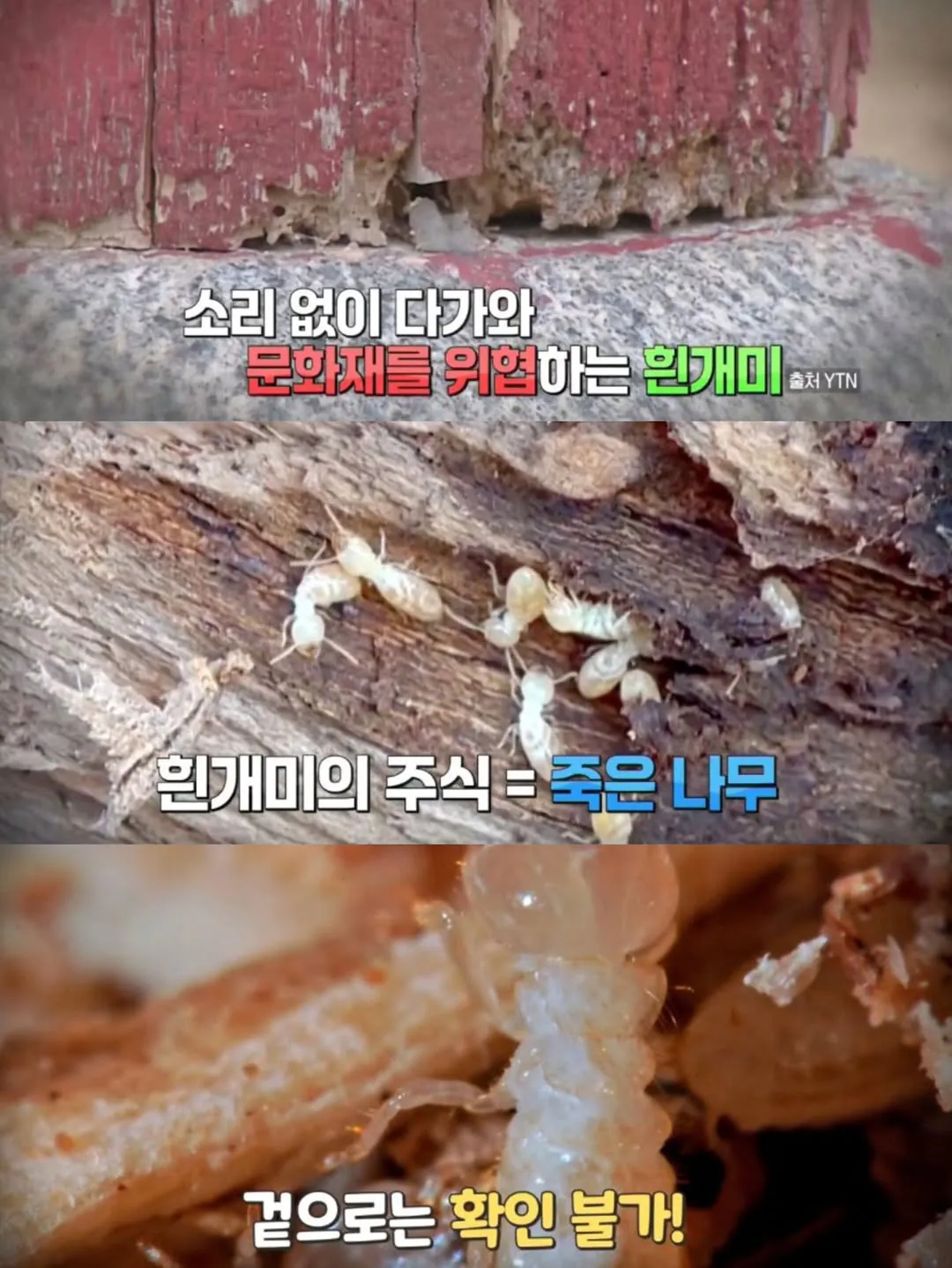 1000017774.webp