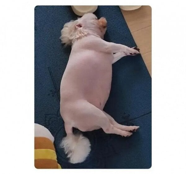 1000085650.png