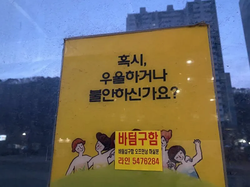 1000017919.webp