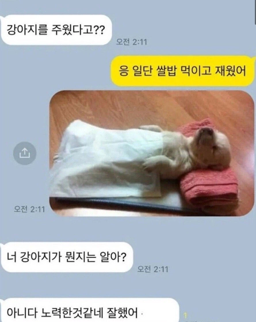 강아지.png