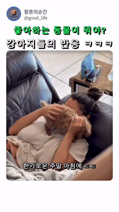 1000038396.gif