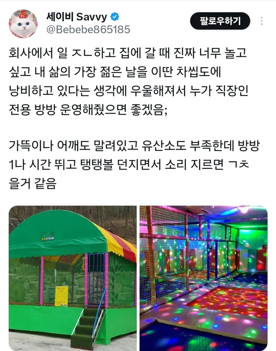 20260225212351_lNfSG6fCCc.webp