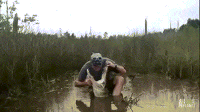1000057130.gif