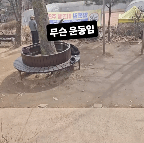 1000086159.gif
