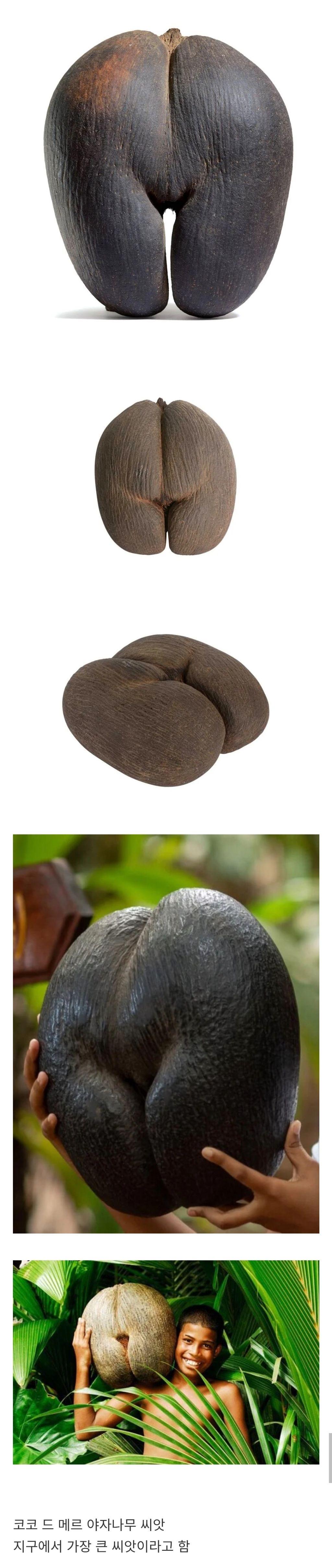 63734.jpg