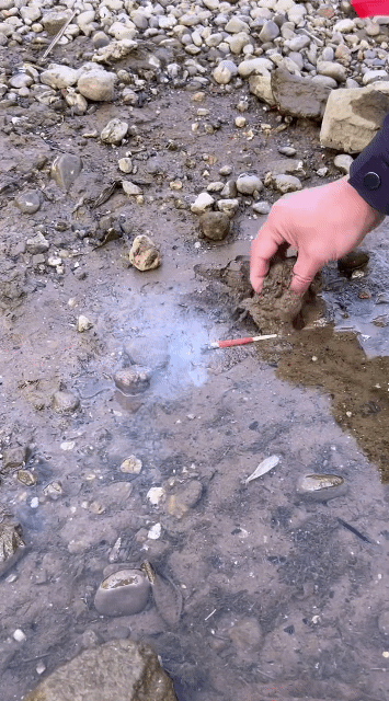 14244b5716eb8264edf1b86789beb97526e61e12_20260302101610.gif