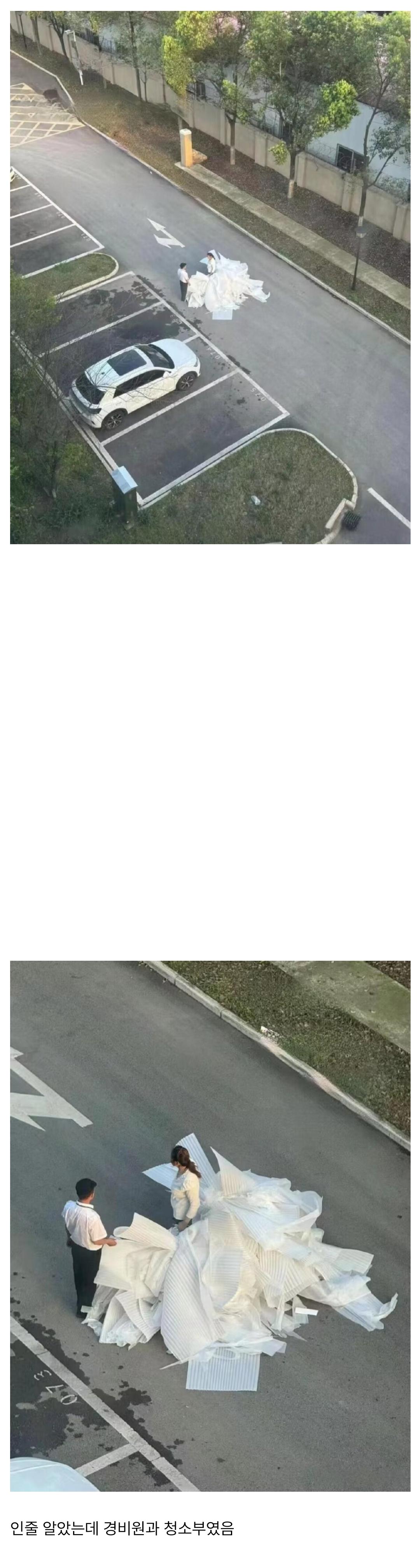 1000031203.jpg