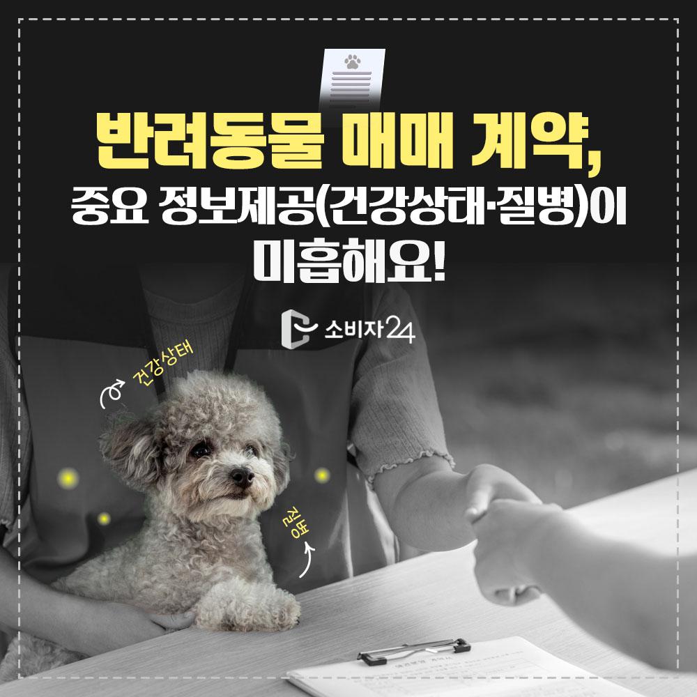 반려동물매매계약_피해예방정보1.jpg
