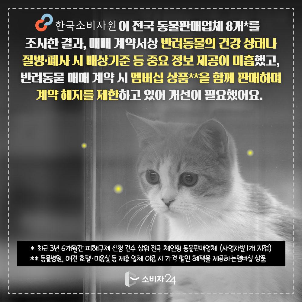 반려동물매매계약_피해예방정보2.jpg
